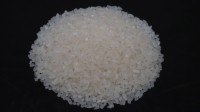 Wholesale Premium Fragrant Rice Direct from Mill in Cambodia at the cheapest price in market
