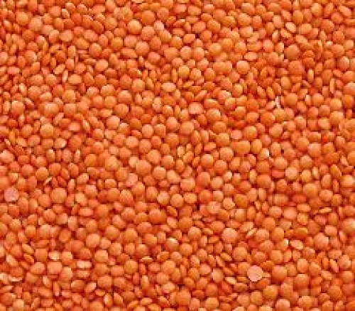 Hight Quality Red Lentils