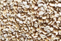 Wholesale Split Brown Eyed Beans from Brazil with good quality at the cheapest price in market
