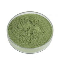 Wholesale Premium Grade A Alfalfa Hay from Canada & Spain to Buyers in Hong Kong and global