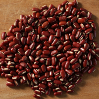 Wholesale Cheapest Price Good Quality Adzuki Beans from Brazil for genuine buyers globally