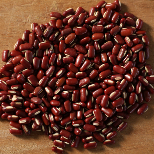 Wholesale Cheapest Price Good Quality Adzuki Beans from Brazil for genuine buyers globally