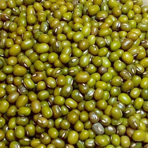 Wholesale Green Lentils  from Ethiopia with good quality at the cheapest price in market