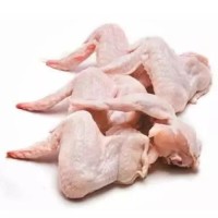 Wholesale Fresh Premium Grade A Frozen Big Size Thick Chicken Feet from Brazil to Buyers in Hong Kong and global