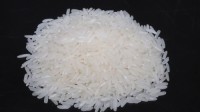Wholesale Premium Fragrant Rice Direct from Mill in Cambodia at the cheapest price in market