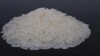 Wholesale Premium Fragrant Rice Direct from Mill in Cambodia at the cheapest price in market