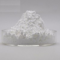 Factory Supply Bulk 99% Food Grade Powder Rennet Casein for Sale