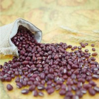 Wholesale Bolinha Red Beans from Brazil at cheapest price in market