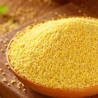 Wholesale High Quality Wheat Grain from Russia with good quality at the cheapest price in market