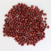 Wholesale Bolinha Red Beans from Brazil at cheapest price in market